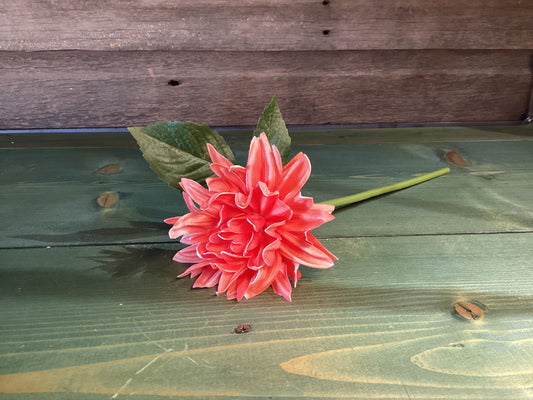 Feel Real Dahlia Coral