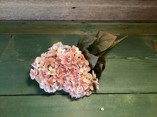 Hydrangea Bush Pink