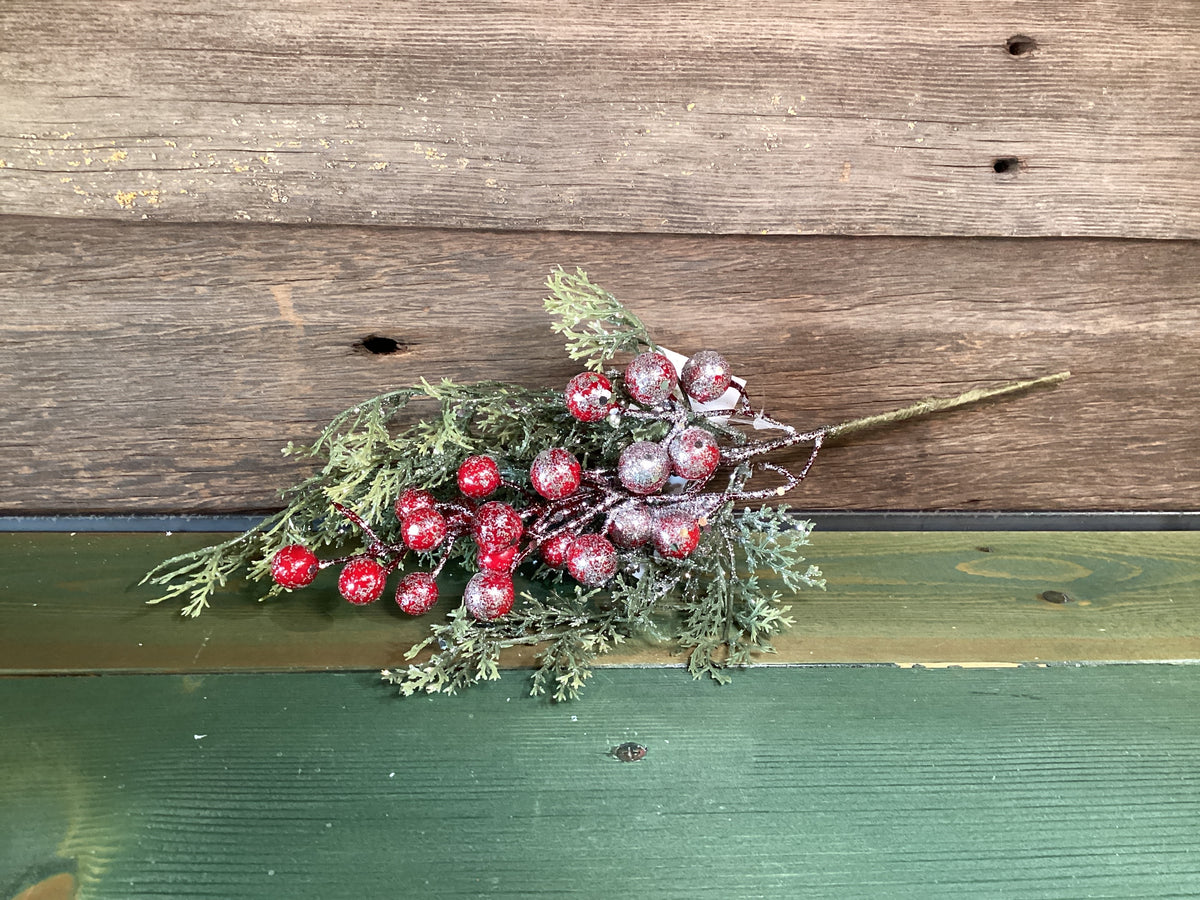 Holiday Cedar Pick