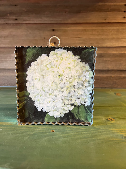 Gallery White Hydrangea