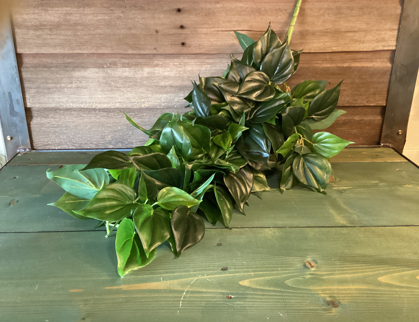 UV Resistant Philo Hanging Vine