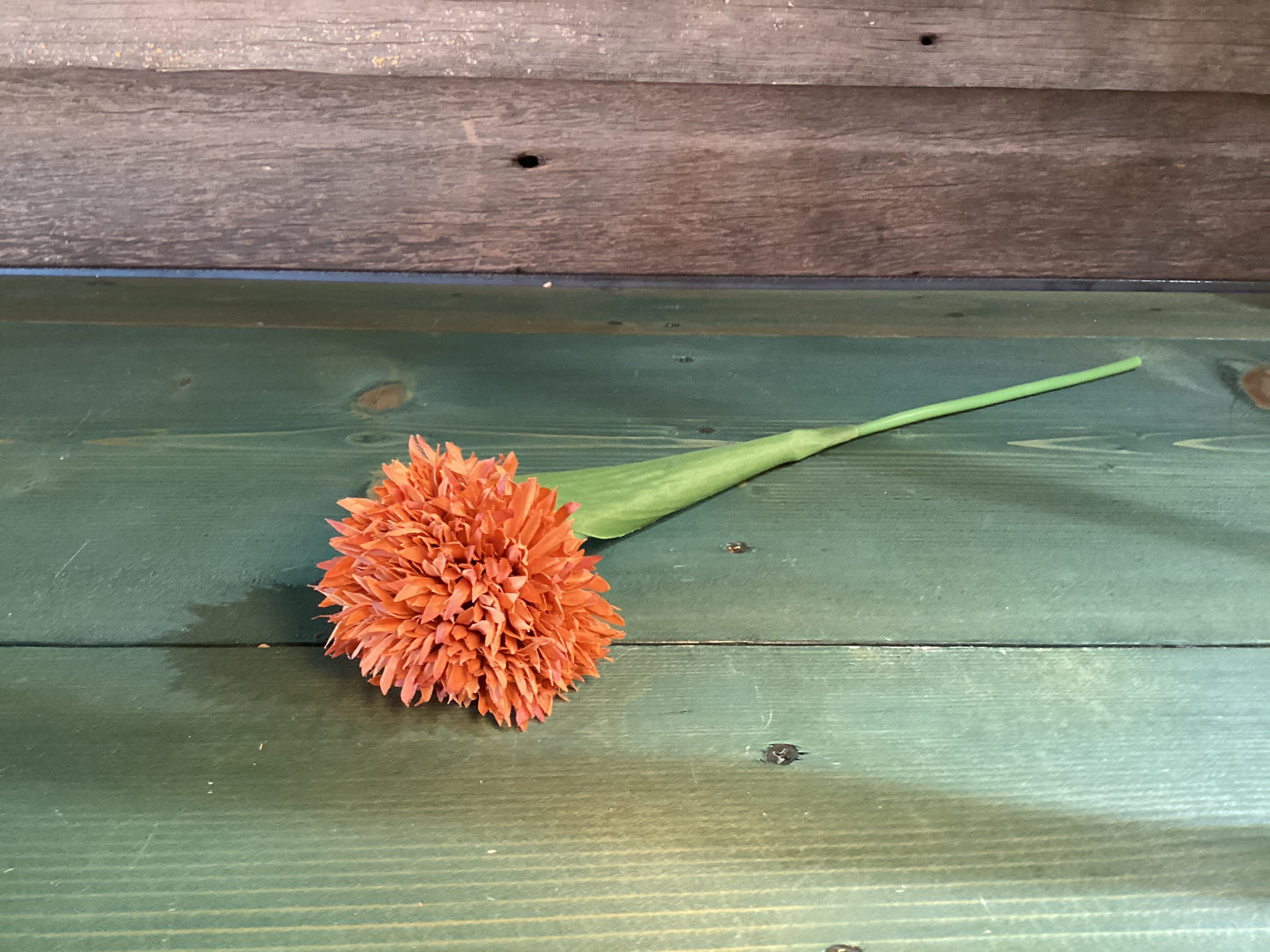 Burnt Orange Mum