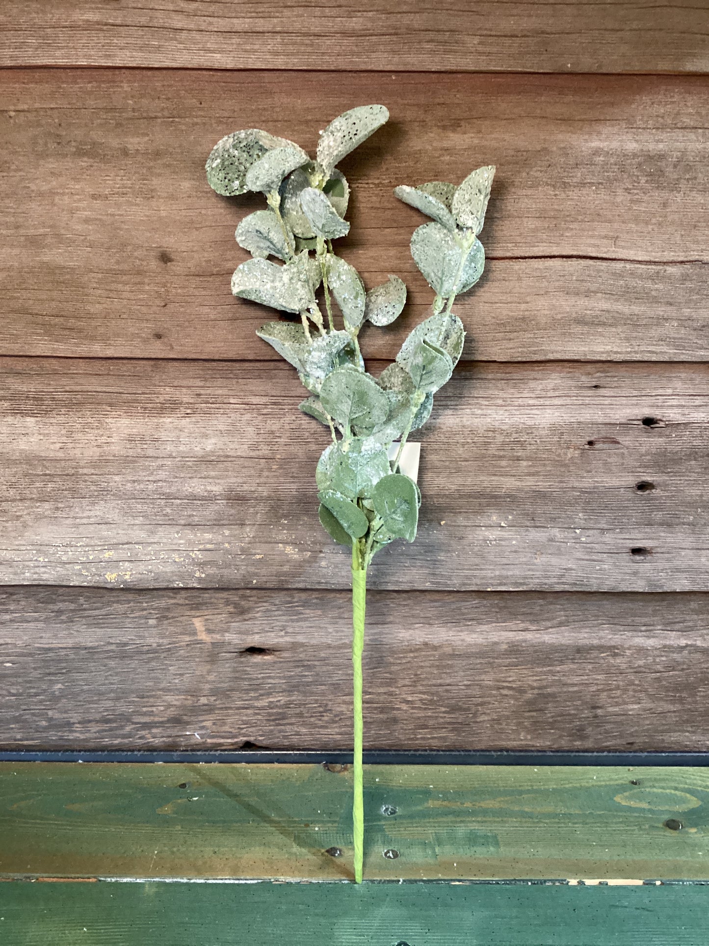 Silverdollar Frosted Pick