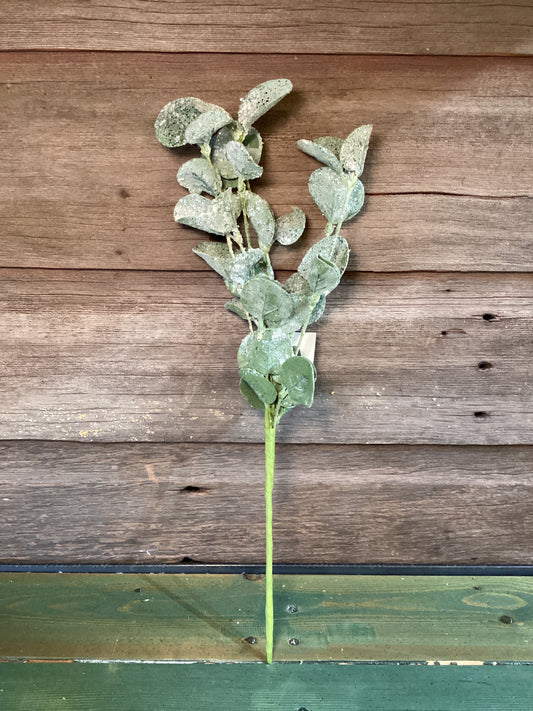 Silverdollar Frosted Pick