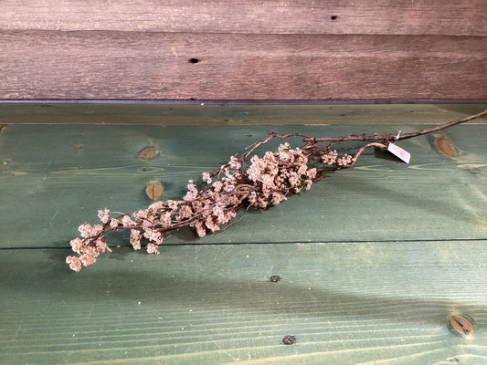Fall Branch