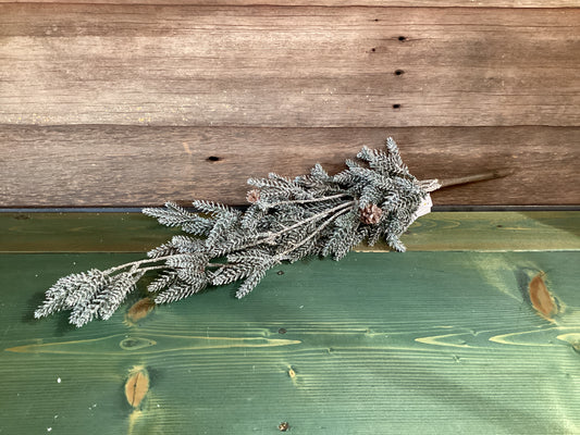 Sullivans Pine W/ Snow Bush