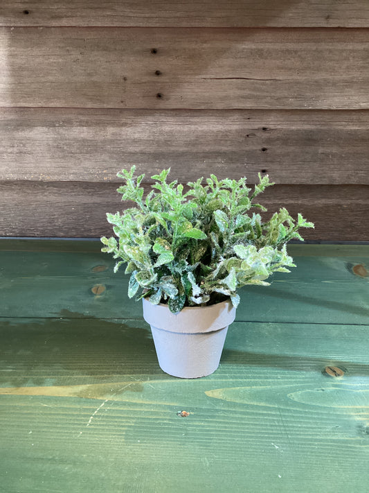 Icy Greenery Pot #2