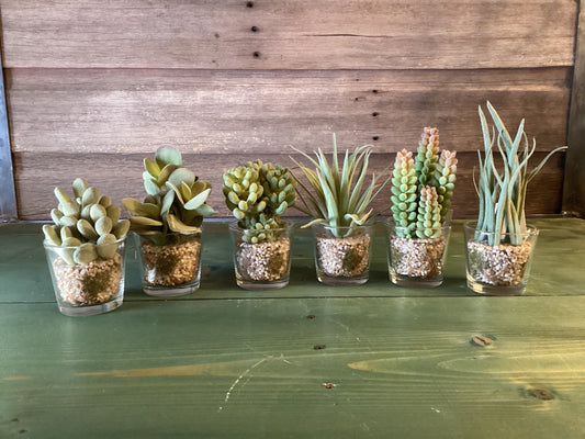 Succulent (Artificial) in Glass