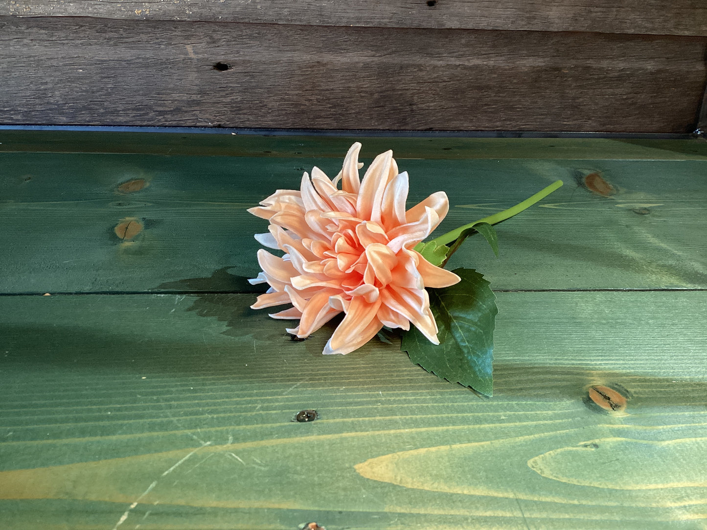 Feel Real Dahlia Peach