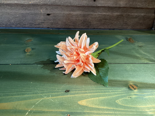 Feel Real Dahlia Peach