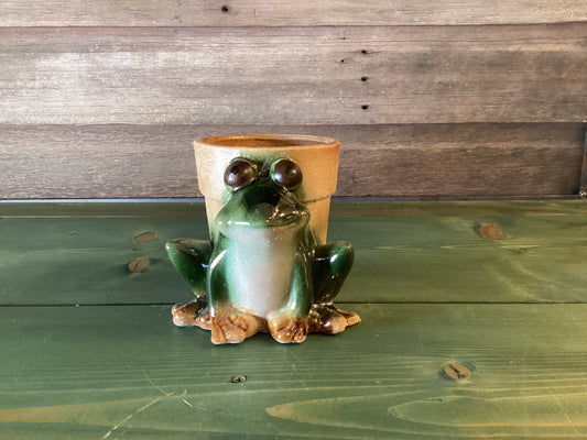 Frog Planter