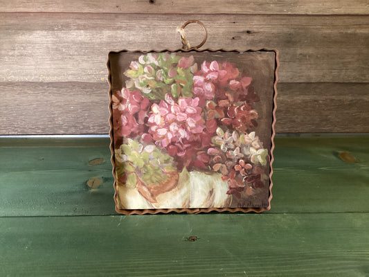 Gallery Hamilton Hydrangeas