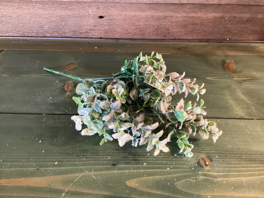 Snowy Eucalyptus Pick