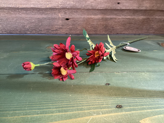 Burgundy Daisy Spray
