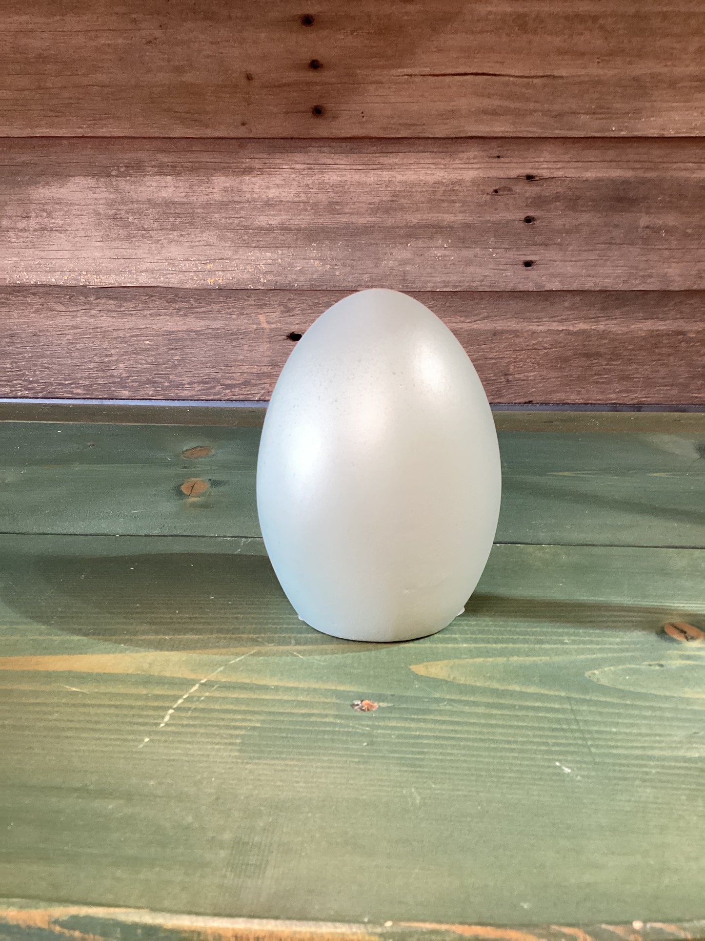 Resin Egg (medium)