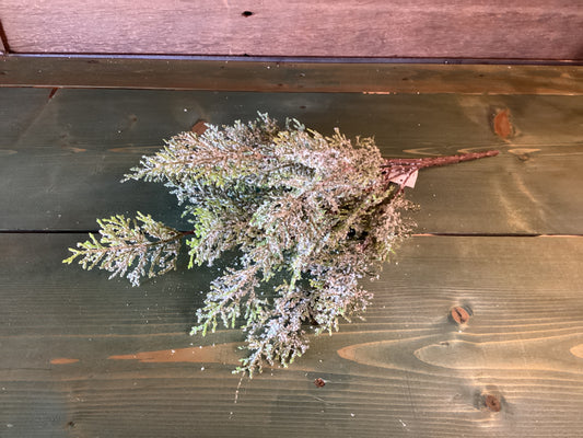 Iced Cedar Bush