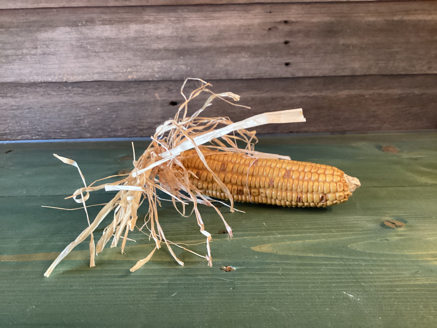 Indian Corn Husk