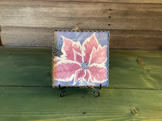 Gallery Pink Poinsettia