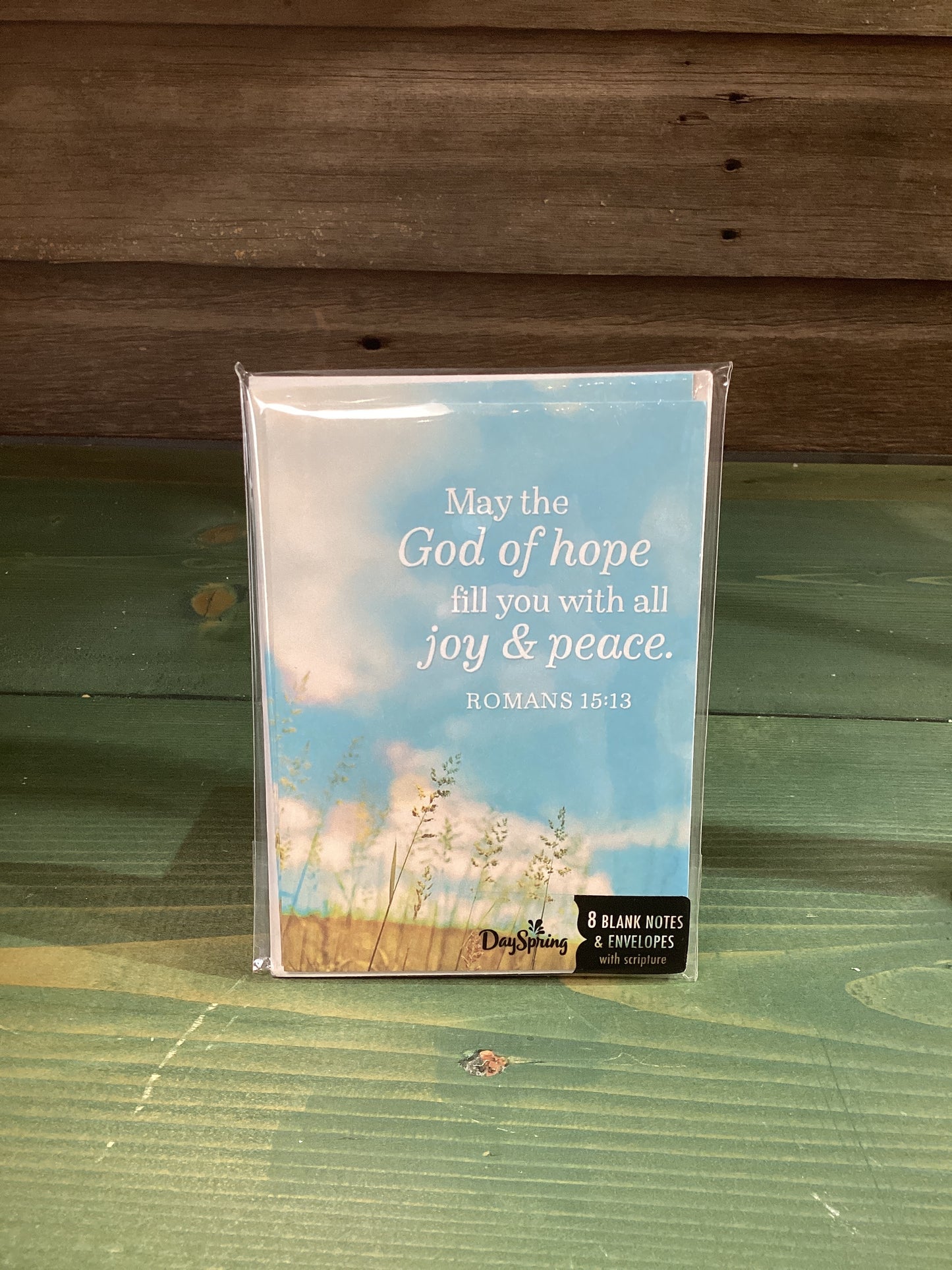 Mini Blank Notes & Envelopes