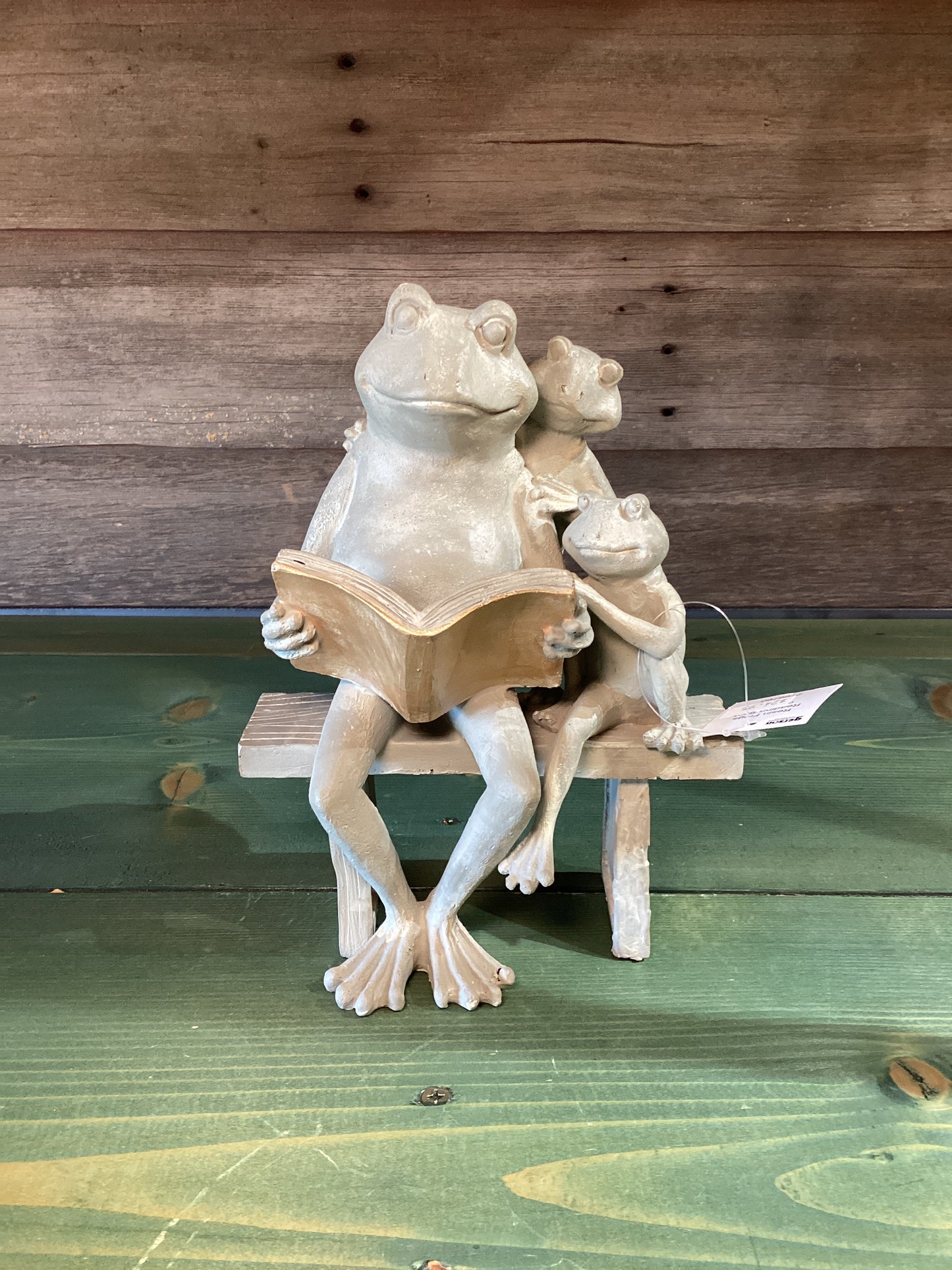 Frogs Reading Books on Bench