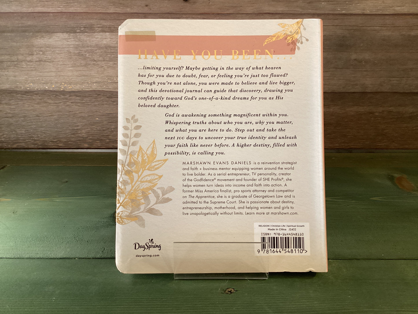 100 Days of Believing Bigger Devotional Journal