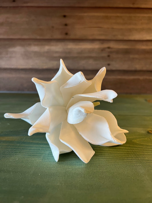 Foam Flower White