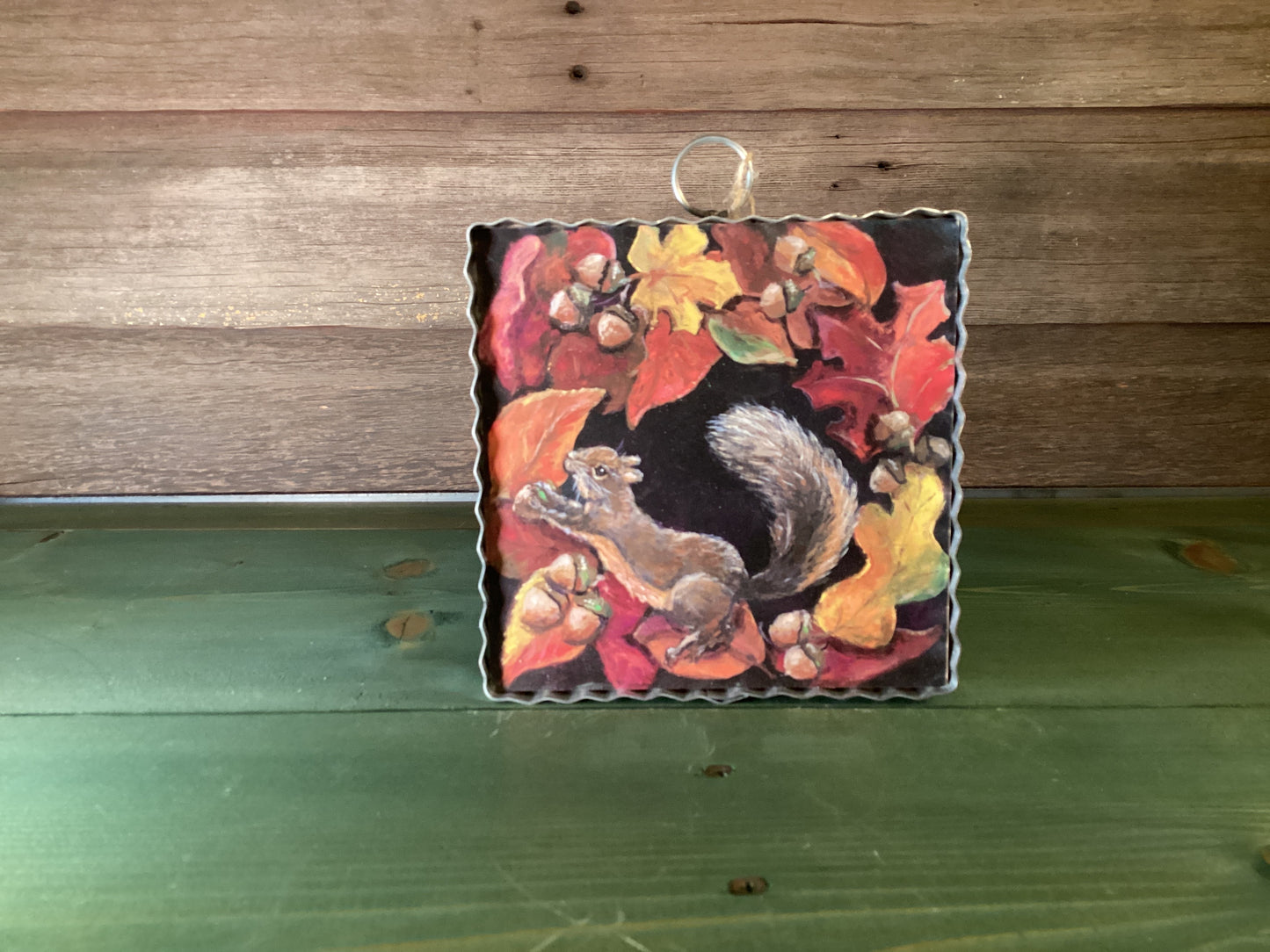 Gallery Hamilton Playful Squirrel