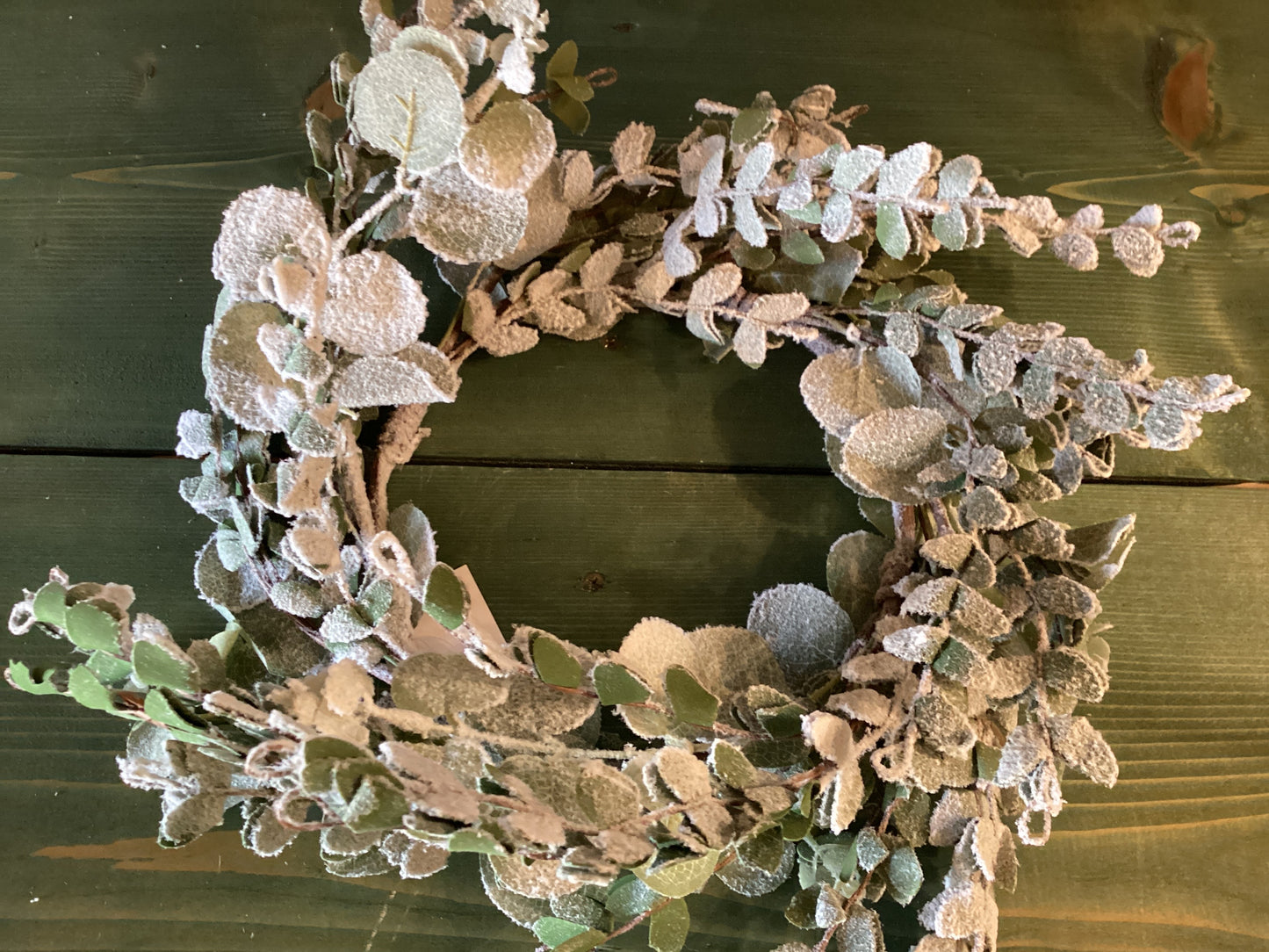 Snowy Flocked Eucalyptus Wreath