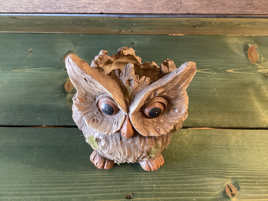 Wooden Resin Owl Planter