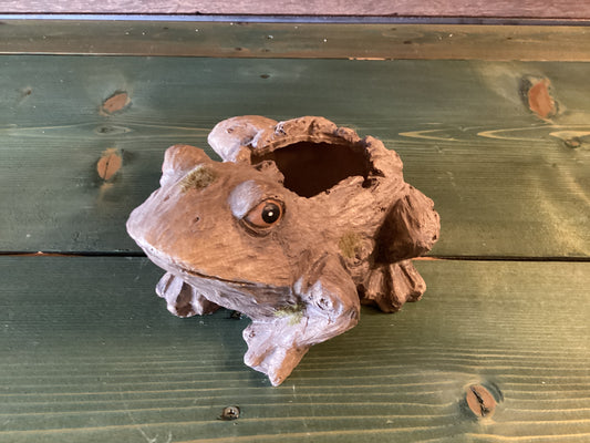 Wooden Resin Frog Planter