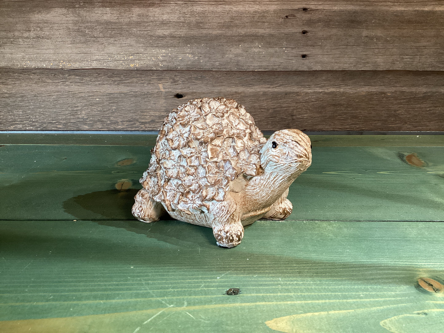 Floral Turtle & Snail