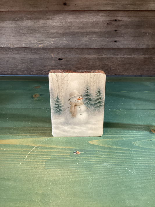 Snowy Forest Block w/ 1 Snowmen
