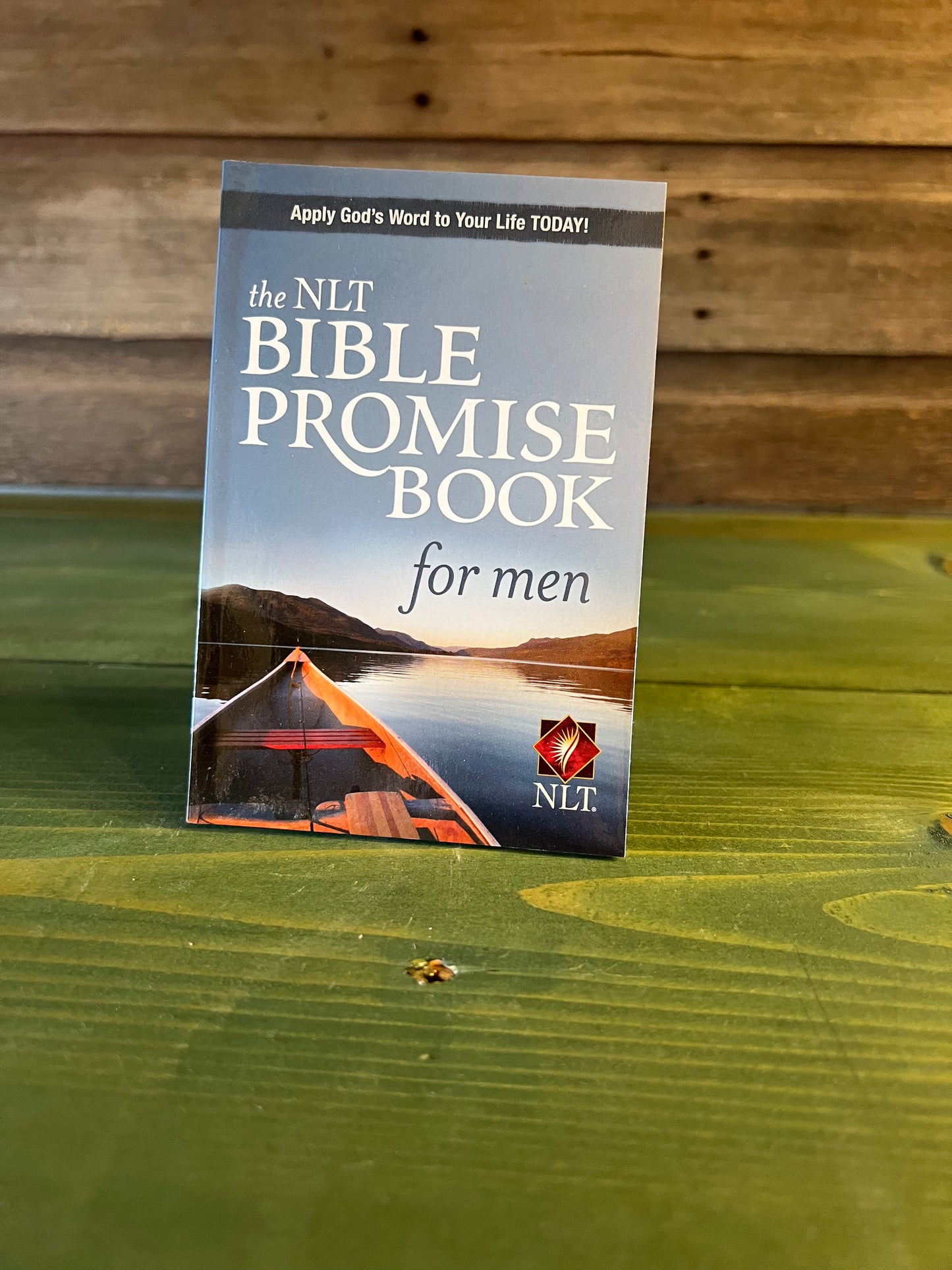 NLT Bible Promise Book for Men