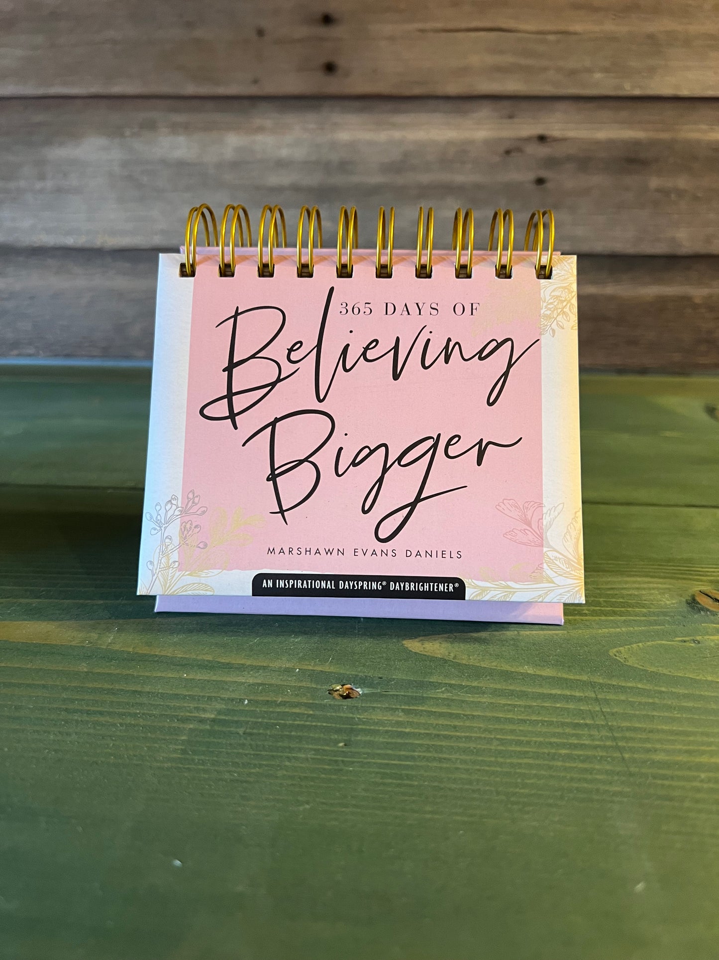 365 Days of Believing Bigger