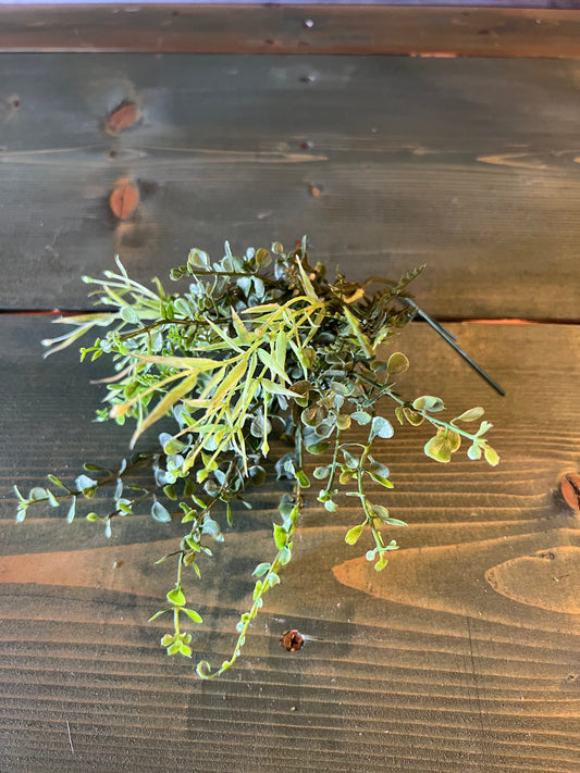 Spanish Fern Pick (sm)