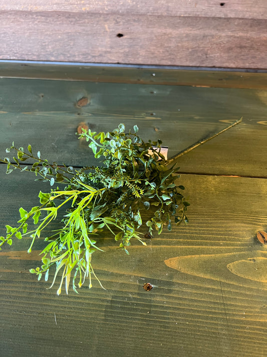 Spanish Fern Spray (lg)