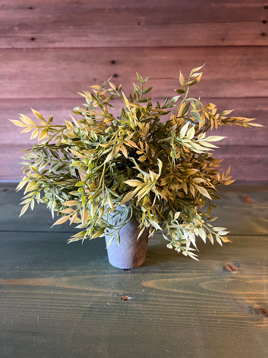 Potted Wisteria (sm)
