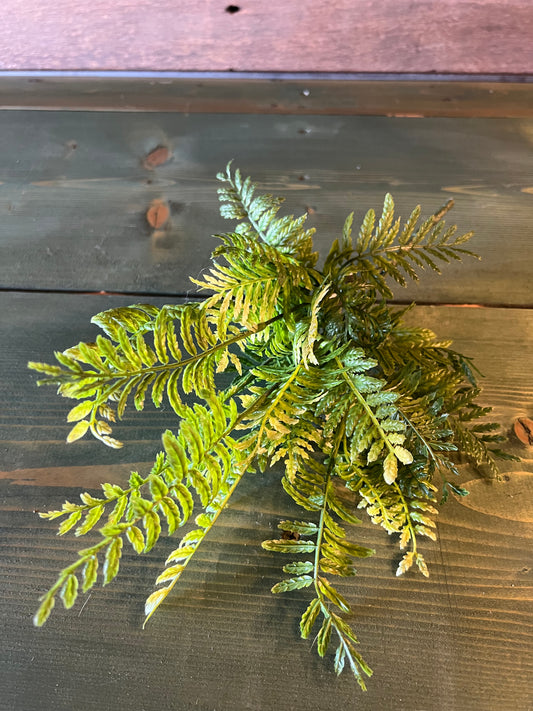 Fancy Fern Pick