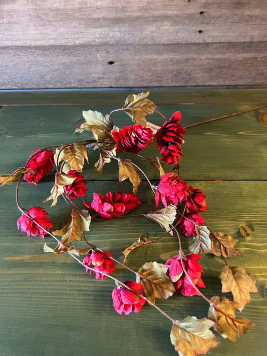 Hops Stem Red
