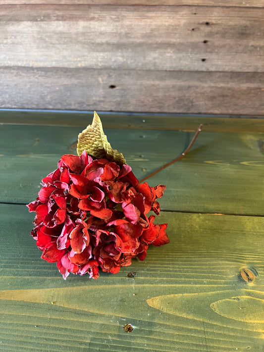 Hydrangea Burgandy Stem