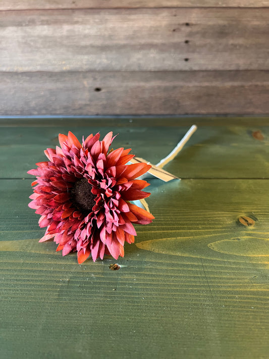 Wine Red Sunflower Stem